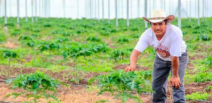 Políticos y académicos analizan desafíos del campo mexicano.