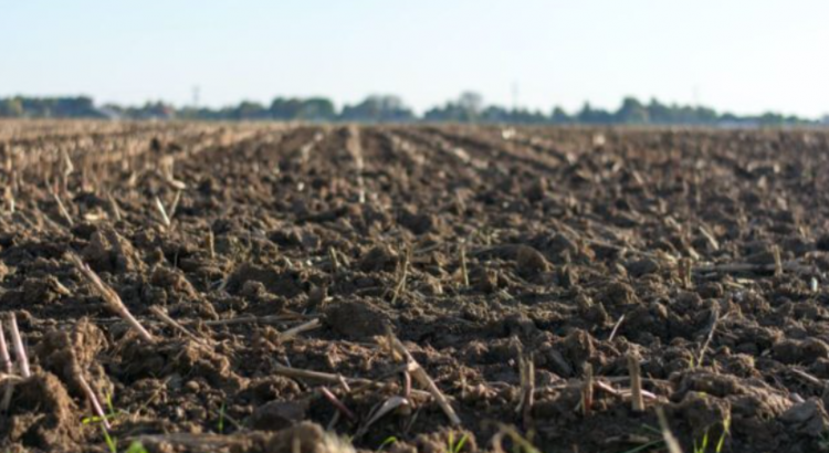 ONU obtuvo avances constructivos en Moscú sobre cereales y fertilizantes