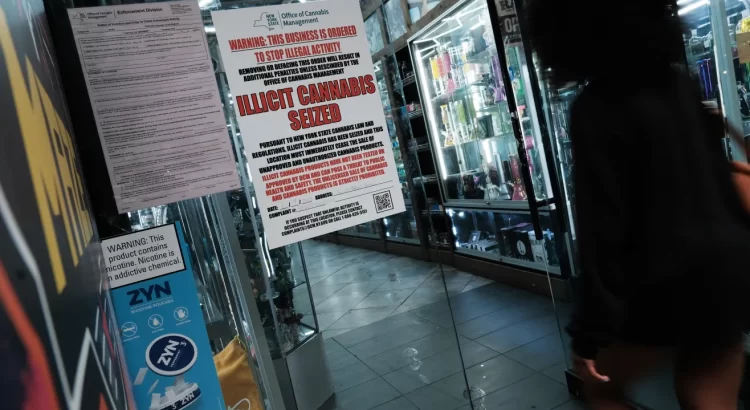 Decomisan 5 toneladas de marihuana en tiendas ilegales en Nueva York