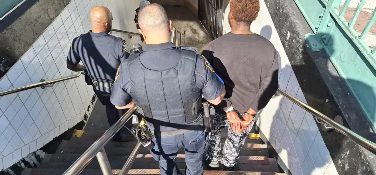 NYPD Controlo Balaceras y Asesinatos en 2023, Pero Auge “Histórico” de Robos Desafía a la Policía