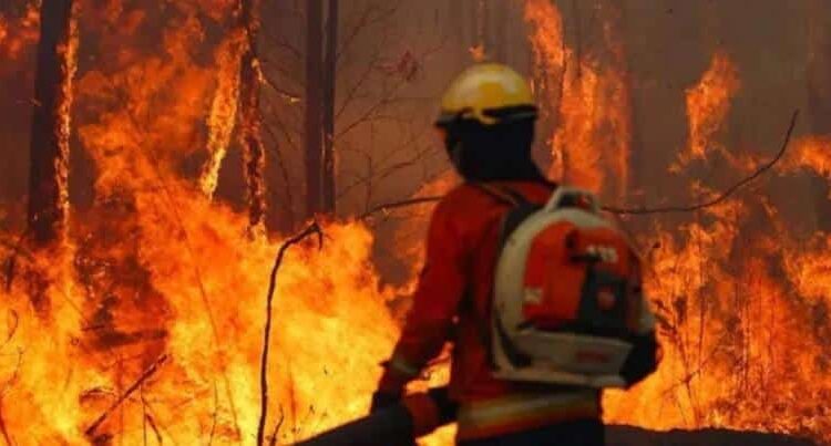 Bolivia enfrenta una emergencia nacional por incendios forestales: una crisis agravada por la sequía