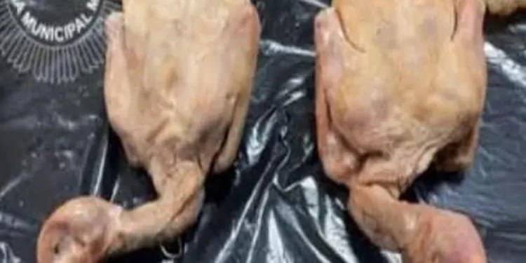 Que no te den paloma por pato Que no te den paloma por pato