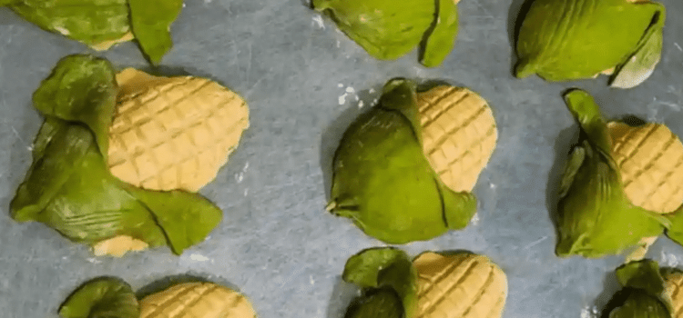 ¿Antojo? qué tal una conchaelote