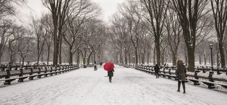 Vórtice polar podría sepultar bajo la nieve al estado de Nueva York
