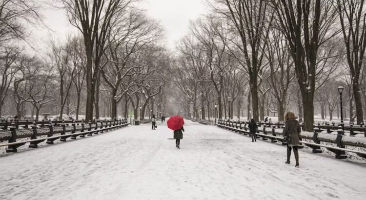 Vórtice polar podría sepultar bajo la nieve al estado de Nueva York