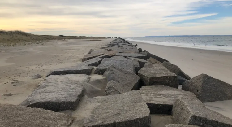 El estado autoriza la construcción de un gasoducto respaldado por Trump en aguas de Nueva York. El estado autoriza la construcción de un gasoducto respaldado por Trump en aguas de Nueva York.